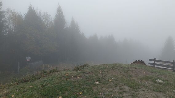 Fotografia z Elke Rieken na trase