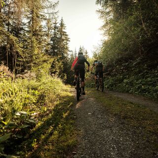 Mountainbiker auf Forststraße