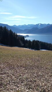 Photo de Pur Alexander le long du parcours