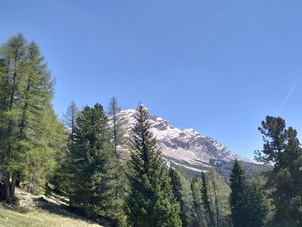 Foto von Walter Tinkhauser entlang der Tour