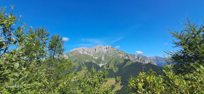 Photo de Vv Savoldelli le long du parcours