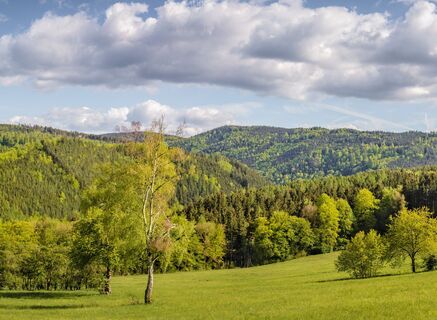 Panorama bei Schwarzburg