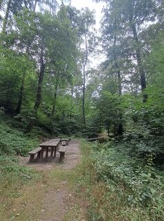 Fotografija s spletne strani Enikő Simonitsné Herczeg na poti