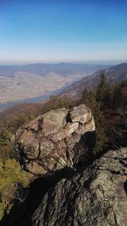 Blick Stromabwärts vom Hohen Stein