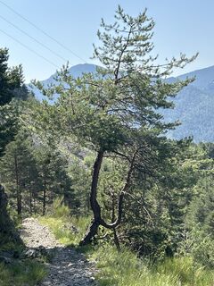 Fotografija s spletne strani Robert Christiaans na poti