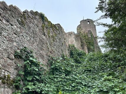 Foto från Norbert Herbig under resans gång