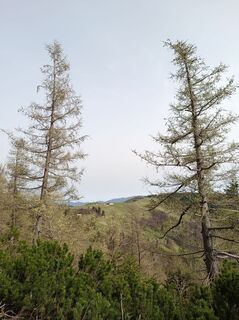 Fotografia z Bergpirat na trase
