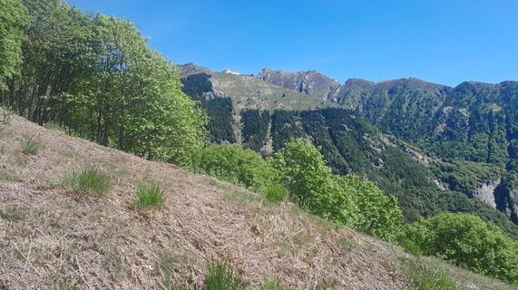 Fotografia z Sergio Fontana na trase