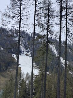 Fotografija s spletne strani Wolfgang Bloder na poti