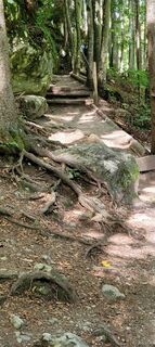 Fotografia z Nicky na trase