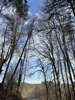 Fotografie z Reinhard Frewein na trase
