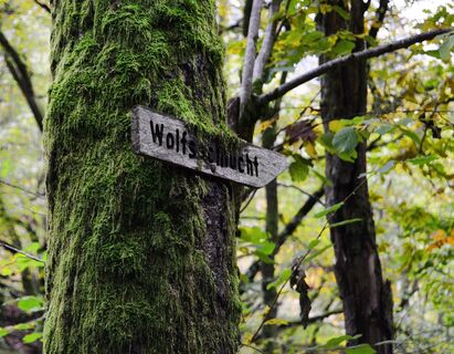 Wolfsschlucht Todtnau