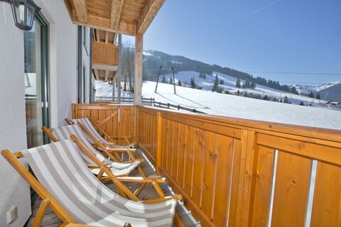 Chalets - Appartements Dienten