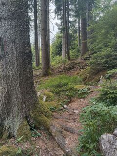 Photo de Petra Macher 1 le long du parcours