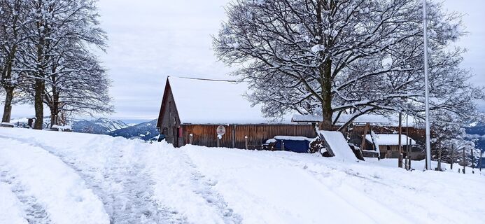 Foto från Ezgap58 under resans gång