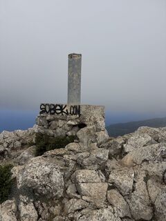 Foto von Grizzli entlang der Tour