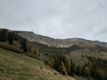 Foto von Reingard entlang der Tour