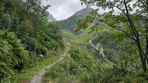 Foto von Matthias Fidesser entlang der Tour
