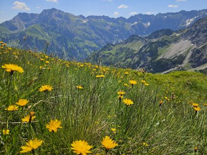 Foto von hannes.d entlang der Tour