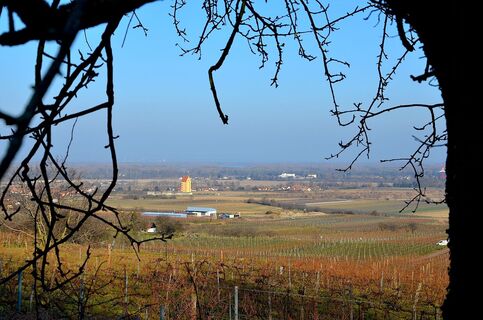 Blick ins Donautal