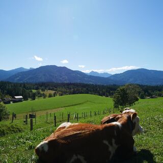 Bergblick vom Wanderweg