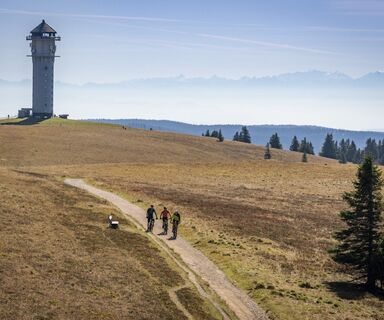 Gipfeltrail Feldberg