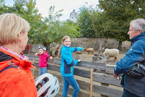 Kleintierzoo mit Schloss Strehla