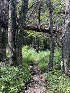 Foto von Levente Németh entlang der Tour
