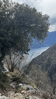 Fotografie z ROBERTO BONIOTTI na trase