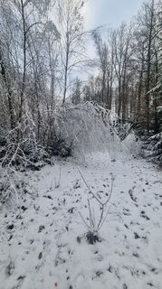 Foto von Volker Wagener entlang der Tour