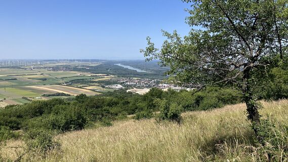 Foto van Christian Kakuska langs de tour