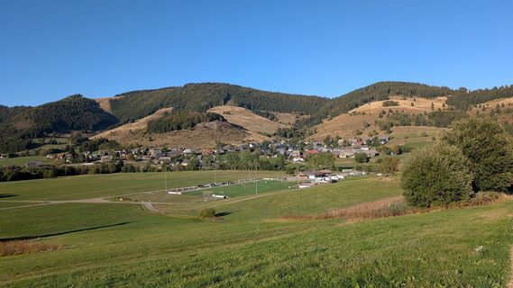 Bernau im Schwarzwald Über die Höhen entlang der Alb (6)