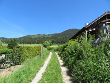 Grünbach -  Springlessteig - Große Kanzel - Grafenberg