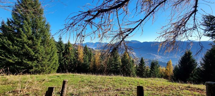 Foto von Gabi G entlang der Tour