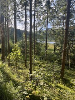 Fotografia z Harald Körbler na trase