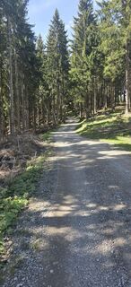 Foto von Michael Steiniger entlang der Tour