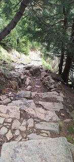 Fotografia z Hallunke Frank na trase