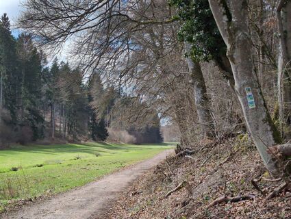 Foto von Attila Németh entlang der Tour