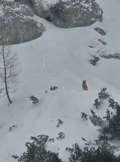 Foto von Matej Špeh 1 entlang der Tour