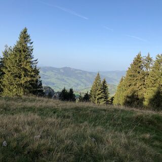 Aussicht Gössigenhöchi ins Luterental