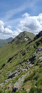 Foto von ketup entlang der Tour
