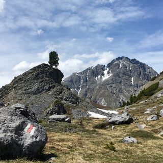 Vom Ofenpass in Richtung Chaschlot mit Blick auf den Nationalpark