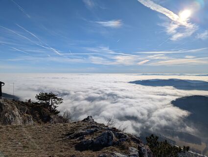 Фото с сайта Leopold Schlögelhofer во время экскурсии