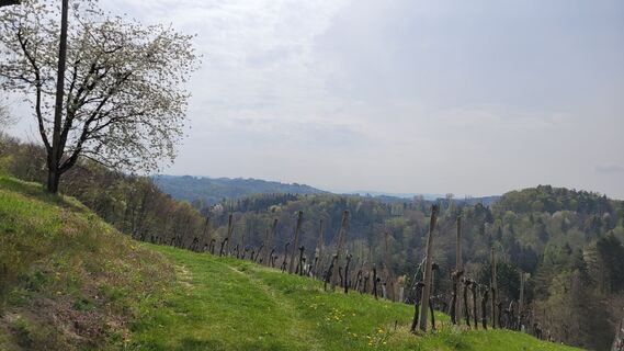 Fotografie z Juliane na trase