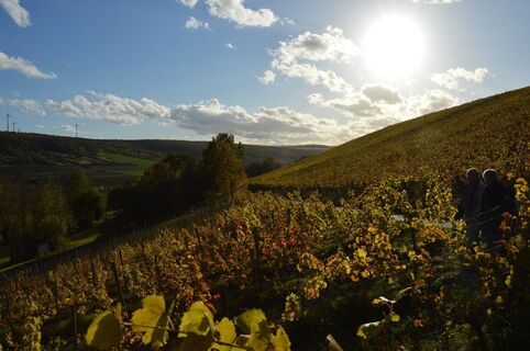 Weinwanderweg Röttingen
