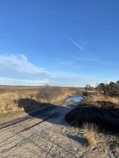 Foto de Marianne2603 a lo largo del recorrido