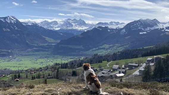 Foto von Andreas Roller entlang der Tour