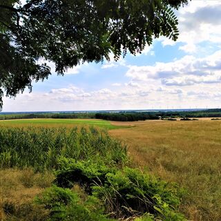 Aussicht vom Dolchauer Berg
