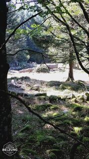 Foto von Jacky belzung entlang der Tour