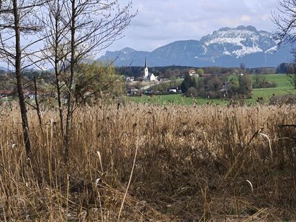 Fotografija s spletne strani tmochel na poti
